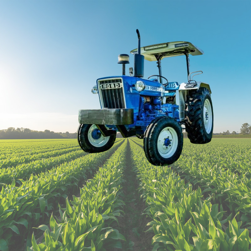 We grow fresh, organic produce using clean methods that protect nature, healthy food.